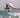 Wing Foiling vs Wind Foiling – What's the Difference?